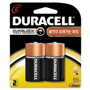 듀라셀건전지
