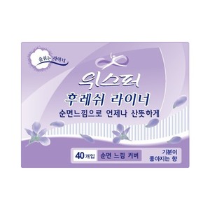 향후레쉬라이너